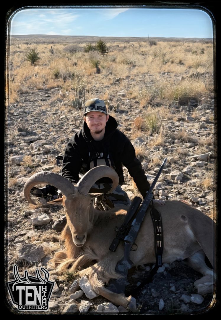 Barbary Sheep taken on a guided New Mexico hunt with Ten High Outfitters