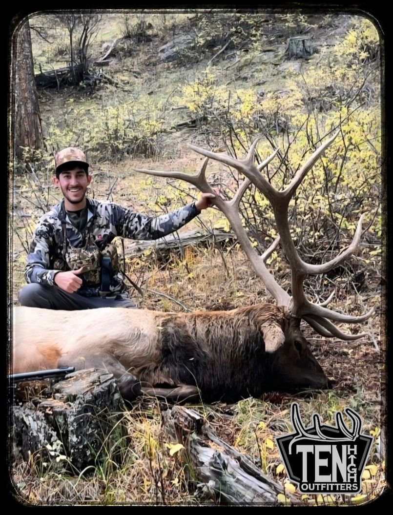 Elk taken on a guided New Mexico hunt with Ten High Outfitters