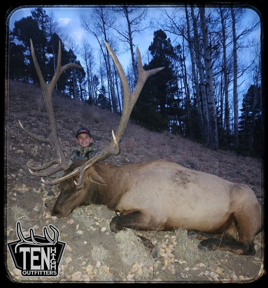 Elk taken on a guided New Mexico hunt with Ten High Outfitters