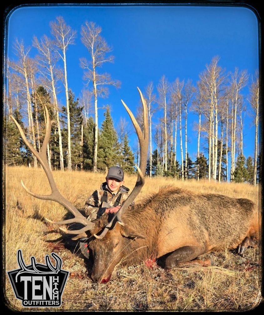 Mule Deer taken on a guided New Mexico hunt with Ten High Outfitters