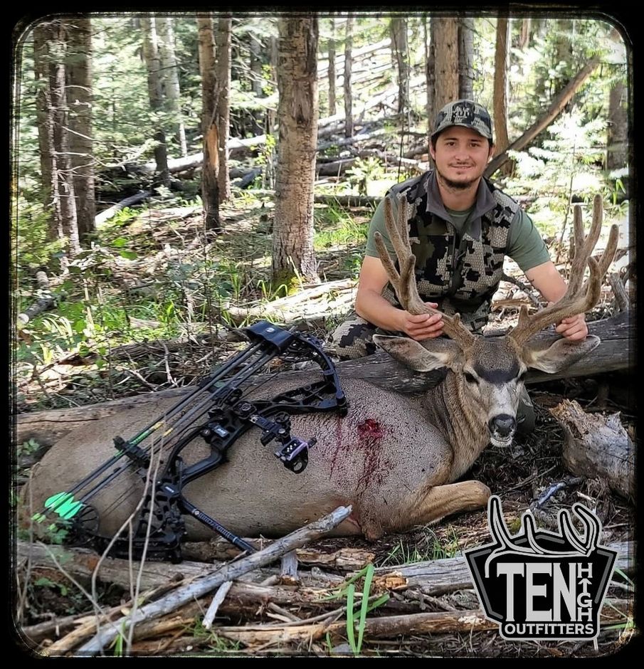 Mule Deer taken on a guided New Mexico hunt with Ten High Outfitters