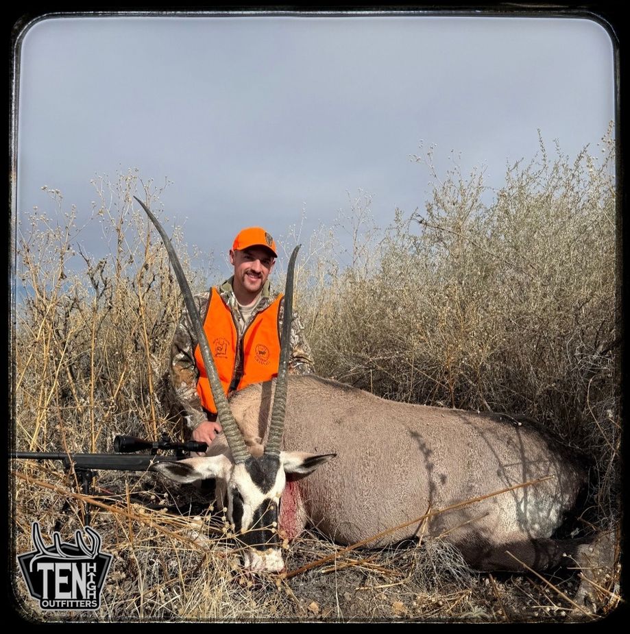 Mule Deer taken on a guided New Mexico hunt with Ten High Outfitters